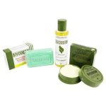 soin de visage gamme green mask stick